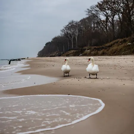 Let's Sea - 4 Person - Premium Baltic With Sea View Nad Access Апартаменты *