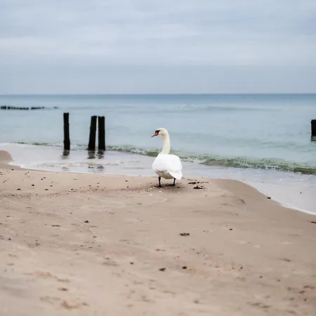 Let's Sea - 4 Person - Premium Baltic With Sea View Apartment