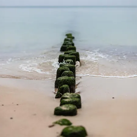 Let's Sea - 4 Person - Premium Baltic With Sea View Nad Access Lejlighed Gąski