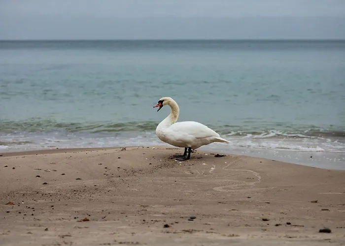 アパート Let's Sea - 4 Person - Premium Baltic With Sea View Nad Access Gąski