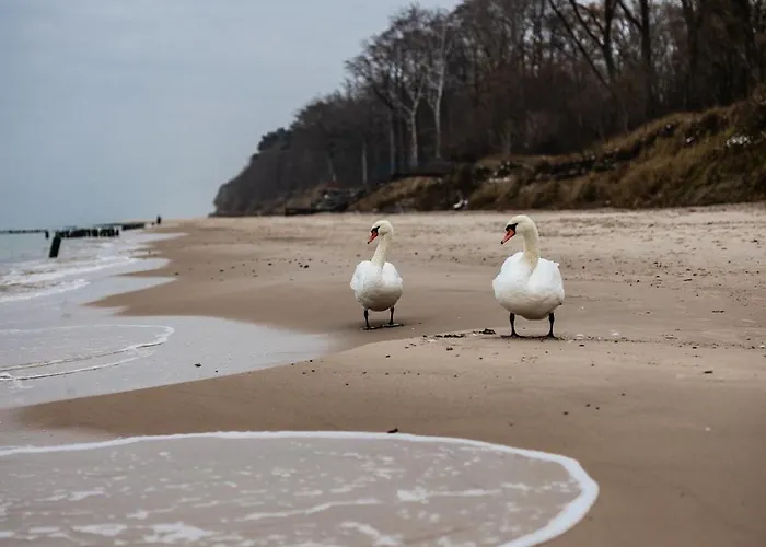 Let's Sea - 4 Person - Premium Baltic With Sea View Nad Access Appartamento *