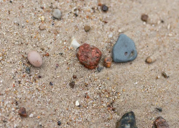 Let's Sea - 4 Person - Premium Baltic With Sea View Nad Access *