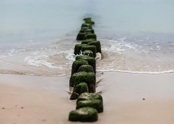 Let's Sea - 4 Person - Premium Baltic With Sea View Nad Access アパート Gąski